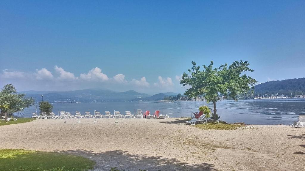 Lake Maggiore 2 Minutes Apartment Dormelletto Eksteriør billede