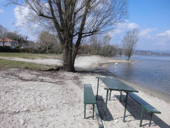 Lake Maggiore 2 Minutes Apartment Dormelletto Eksteriør billede