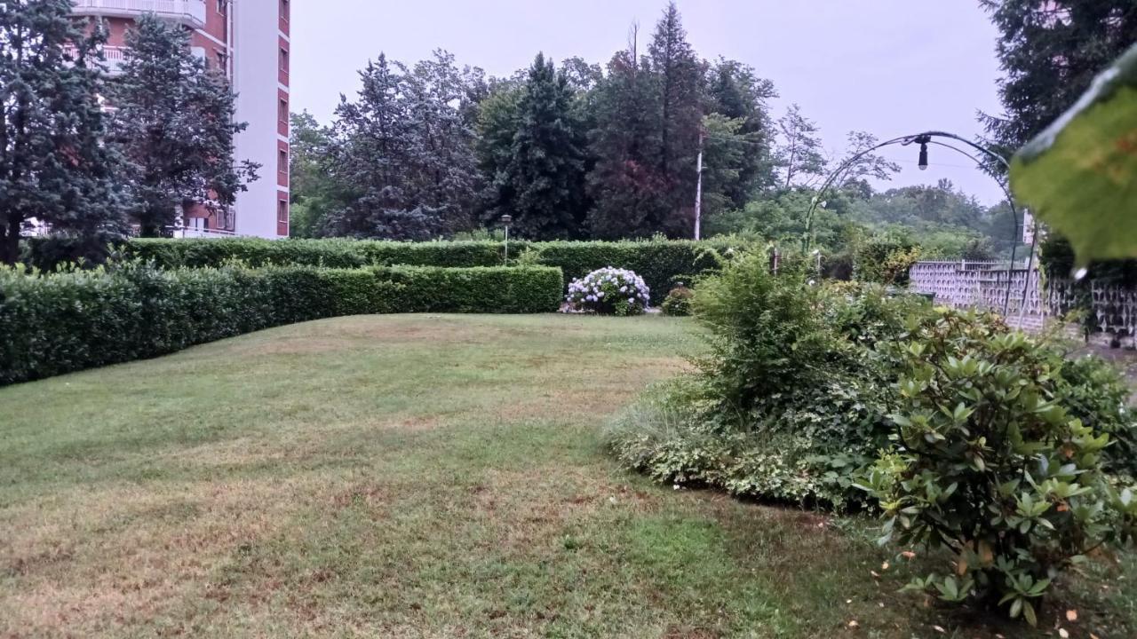 Lake Maggiore 2 Minutes Apartment Dormelletto Eksteriør billede