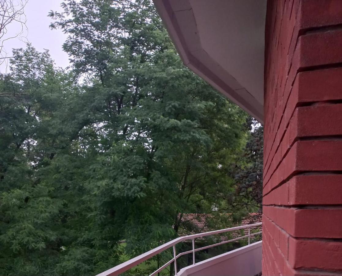 Lake Maggiore 2 Minutes Apartment Dormelletto Eksteriør billede