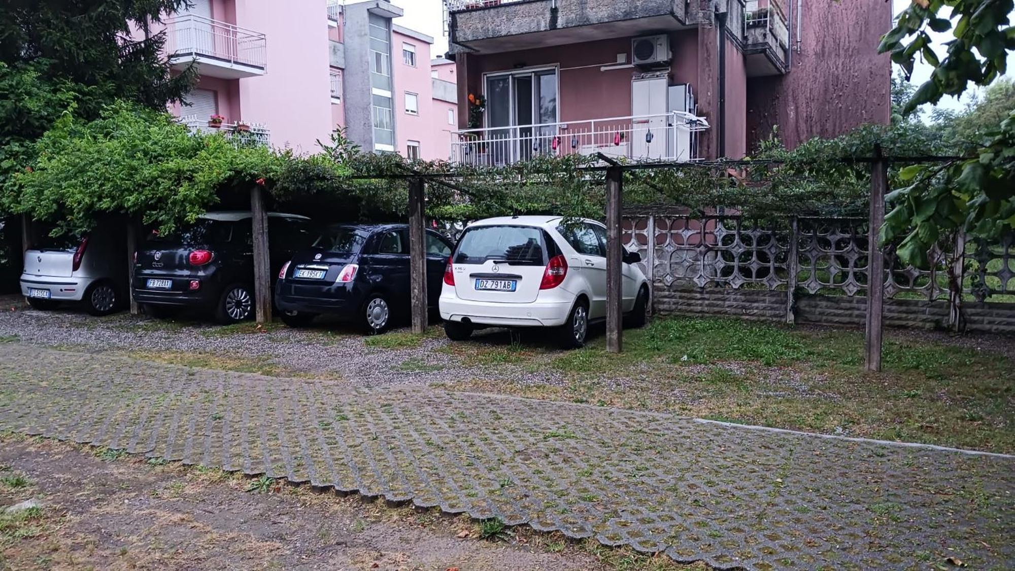 Lake Maggiore 2 Minutes Apartment Dormelletto Eksteriør billede