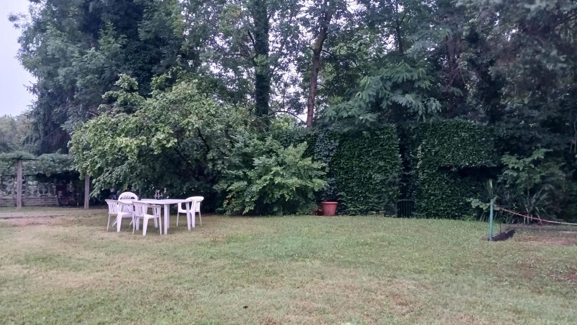 Lake Maggiore 2 Minutes Apartment Dormelletto Eksteriør billede
